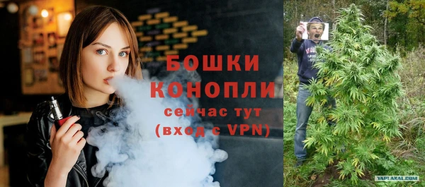 стаф Гусев
